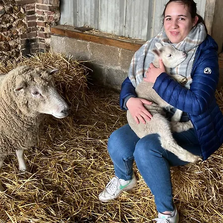 Le Gite A La Ferme Du Tilleul Holiday home *