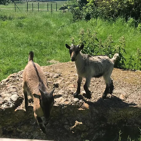 Le Gite A La Ferme Du Tilleul Holiday home Boissy-sur-Damville